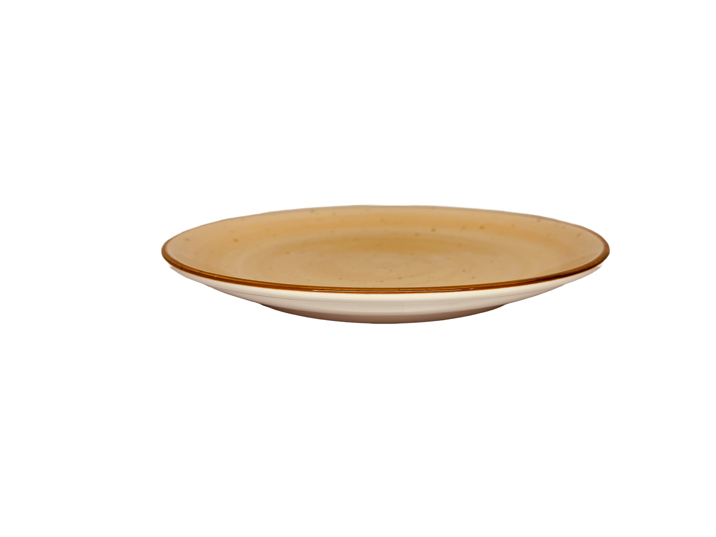 Assiette porcelaine plate saumon