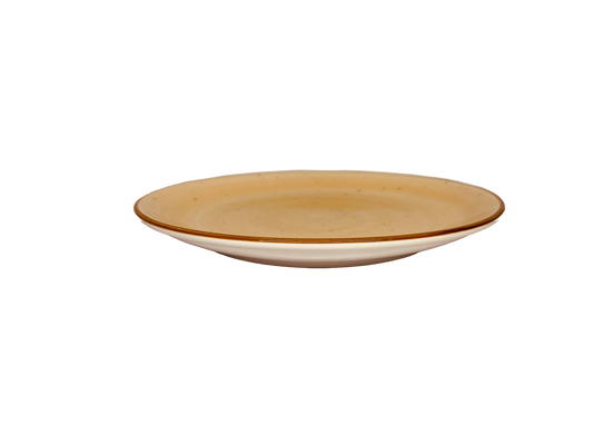 Assiette porcelaine plate saumon